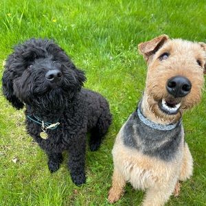 Meet your Posher, Matthew